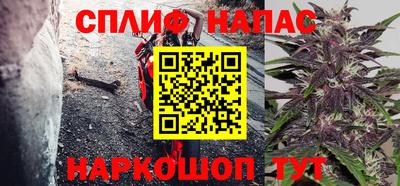 шишки Шахты