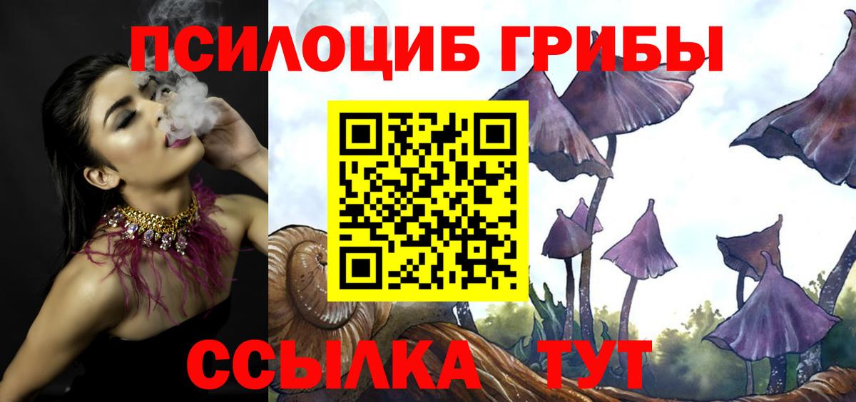 Галлюциногенные грибы прущие грибы  Вход с VPN  Донецк 